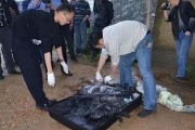 南京碎尸案爆料视频播放,视频播放揭示惊人真相