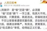 非职业吃瓜人小说免费阅读,揭秘娱乐圈幕后风云
