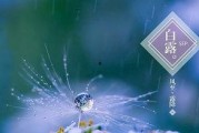 白露模型最新爆料