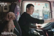 老司机吃瓜爆料央视视频,老司机吃瓜爆料背后的真相