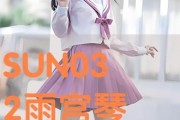 宫雨琴音在线观看,穿越时空的旋律之旅
