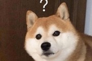 八哥爆料赤犬视频大全集,赤犬视频大全集精彩瞬间回顾