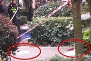 成都住户爆料案件最新,惊曝小区内惊悚命案，真相令人震惊！